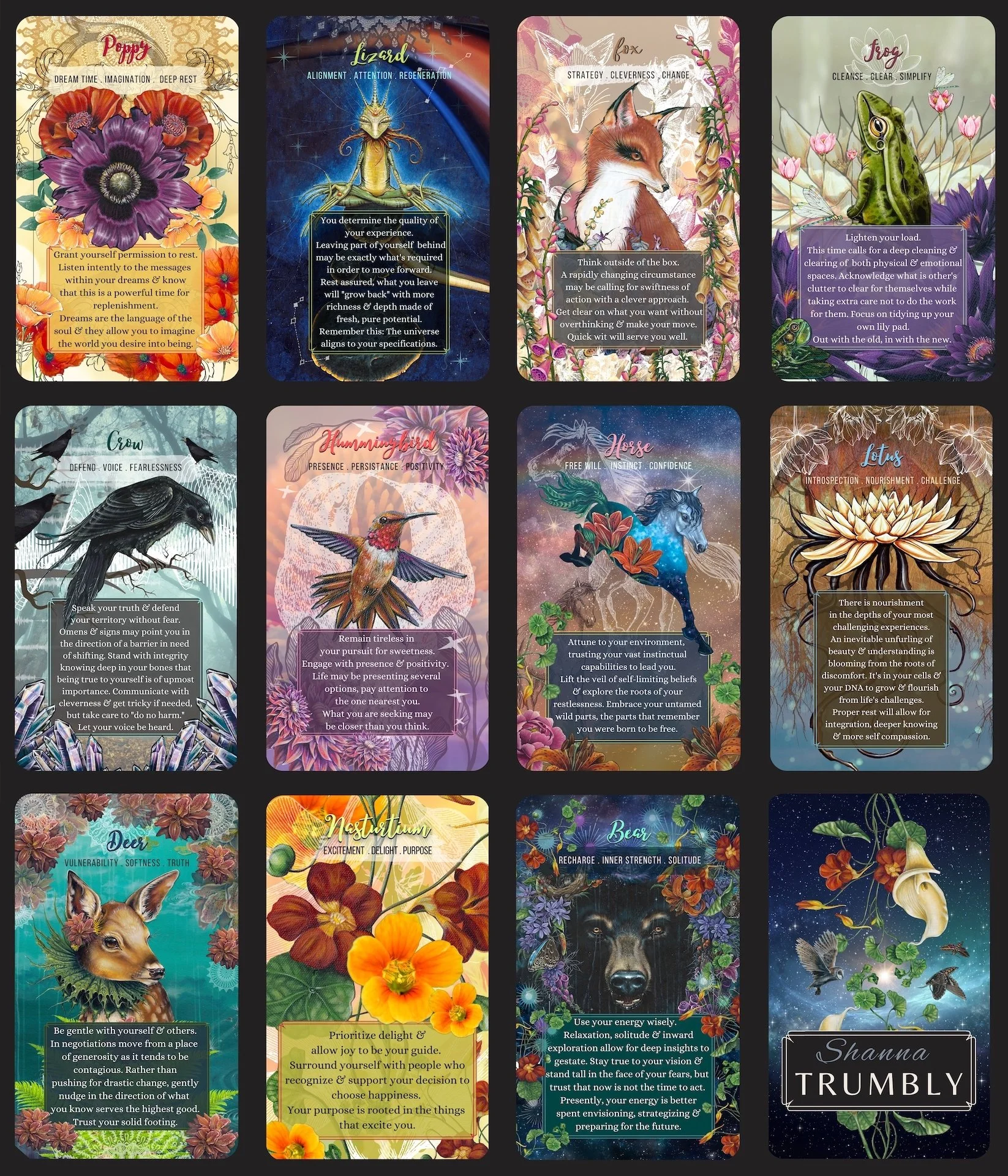 the Messenger's Delivery Oracle Card Deck — Shanna Trumbly